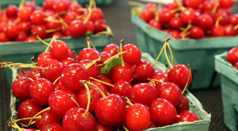 Wellness STOMP: Tart Cherry