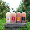 Create a 4-Pack (half-gallon bottles)