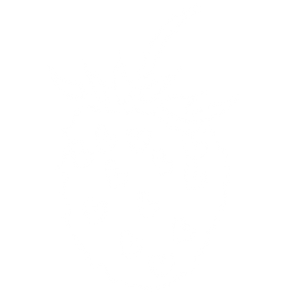 Naturally Functional